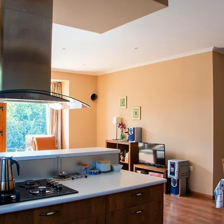With 3 Bedrooms In With Wonderful Mountain View Terrace And Wifi 2 Km From The Beach Apartament Viveiro