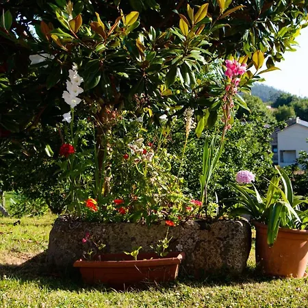 With 3 Bedrooms In With Wonderful Mountain View Terrace And Wifi 2 Km From The Beach Viveiro