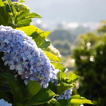 With 3 Bedrooms In With Wonderful Mountain View Terrace And Wifi 2 Km From The Beach Apartament Viveiro
